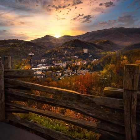 Papa Bear, Hot Tub, Wifi, 1089 Free Tickets Each Paid Day, Dollywood And More Севьервилл Экстерьер фото