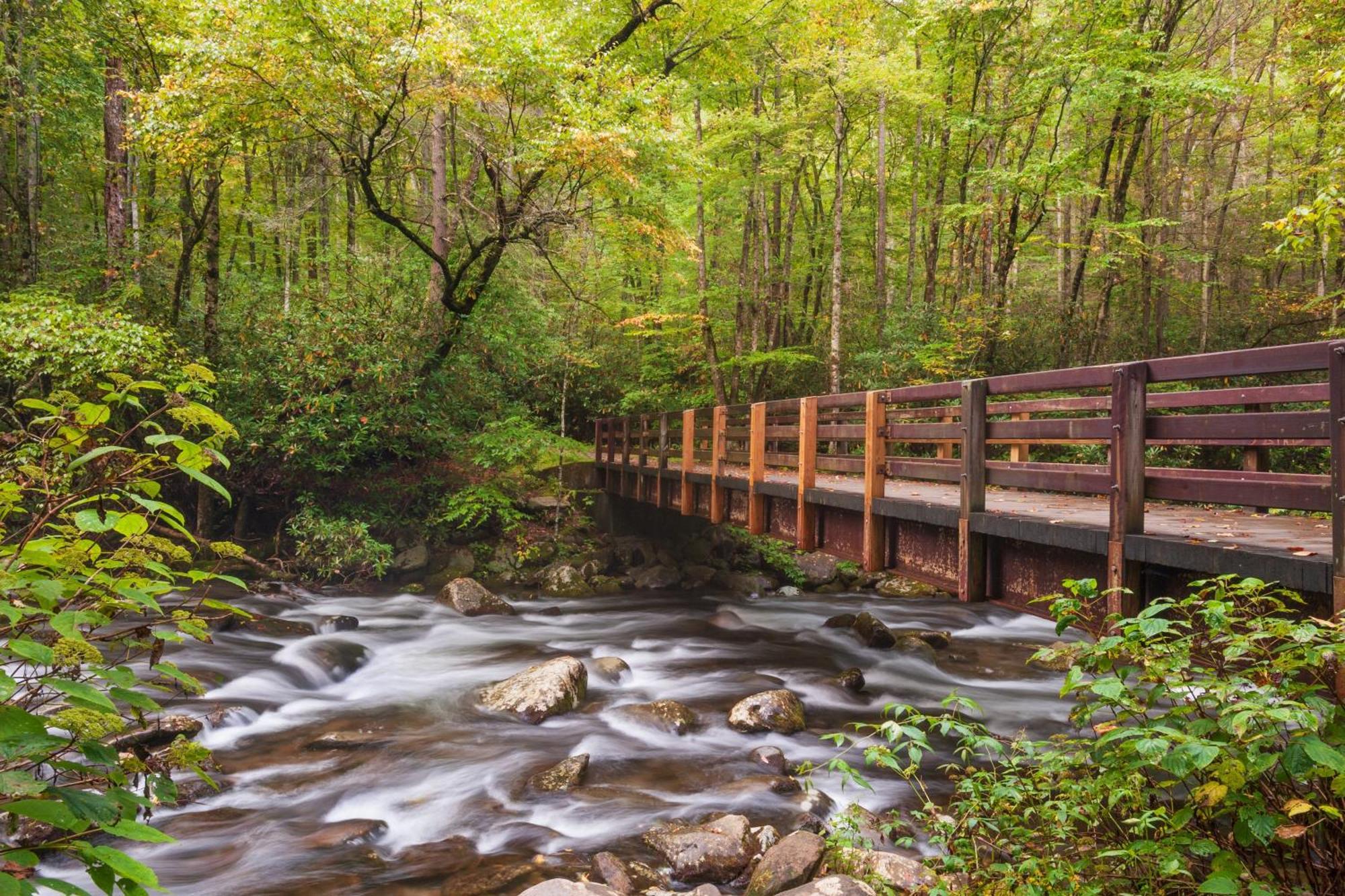 Papa Bear, Hot Tub, Wifi, 1089 Free Tickets Each Paid Day, Dollywood And More Севьервилл Экстерьер фото